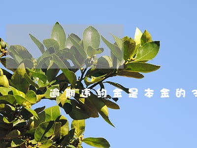 逾期违约金是本金的3倍合法吗 逾期违约金是本金的3倍合法吗
