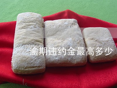 逾期违约金最高多少