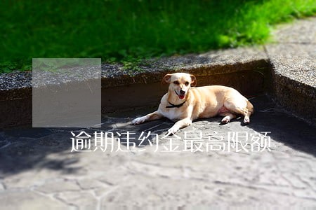 逾期违约金最高限额 逾期违约金最高限额