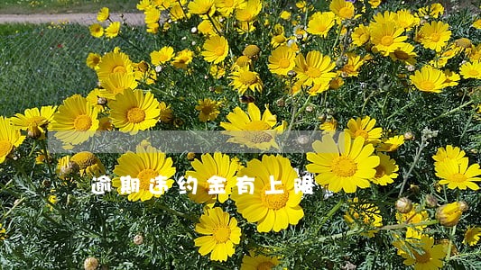 逾期违约金有上限 逾期违约金有上限