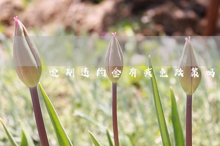 逾期违约金有减免政策吗 逾期违约金有减免政策吗