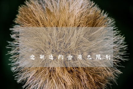逾期违约金有无限制