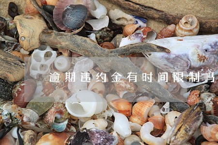 逾期违约金有时间限制吗 逾期违约金有时间限制吗