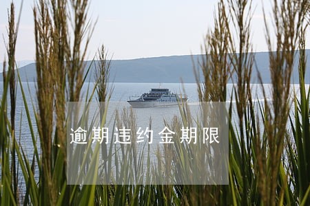 逾期违约金期限