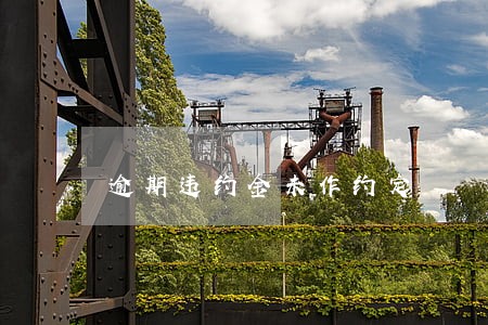 逾期违约金未作约定