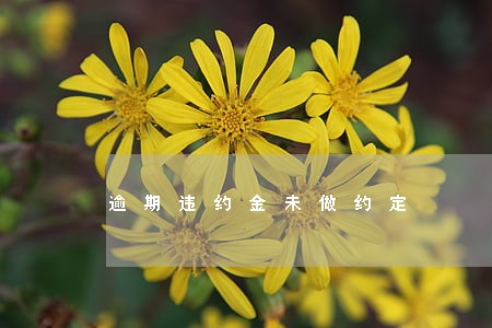逾期违约金未做约定