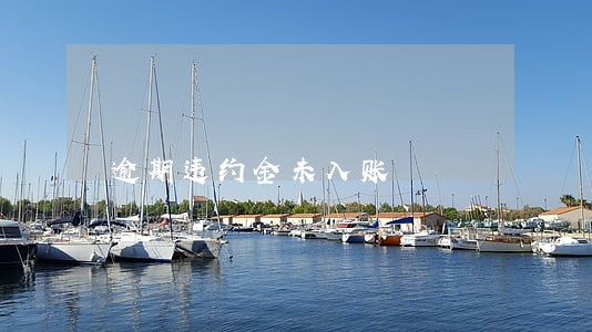 逾期违约金未入账 逾期违约金未入账