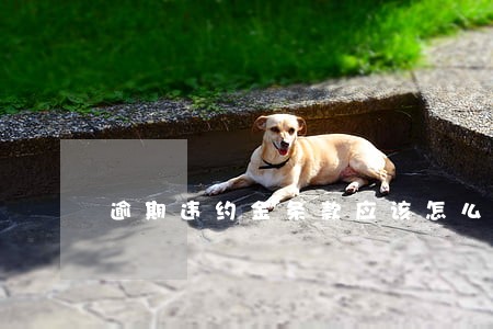逾期违约金条款应该怎么写 逾期违约金条款应该怎么写