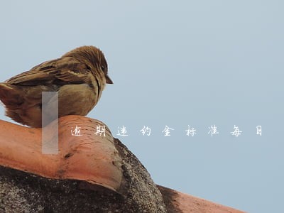 逾期违约金标准每日 逾期违约金标准每日