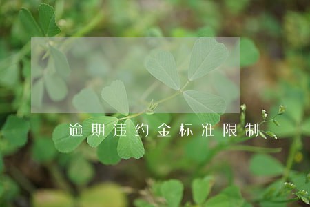 逾期违约金标准限制 逾期违约金标准限制