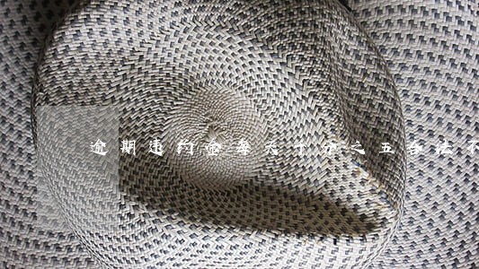 逾期违约金每天千分之五合法不 逾期违约金每天千分之五合法不