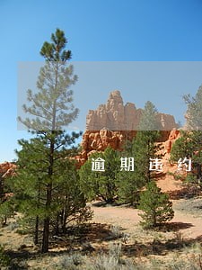 逾期违约金每日多少合法 逾期违约金每日多少合法