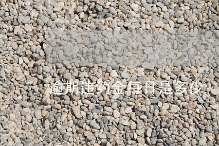 逾期违约金每日是多少