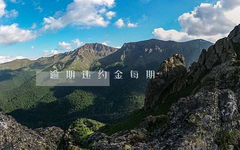 逾期违约金每期