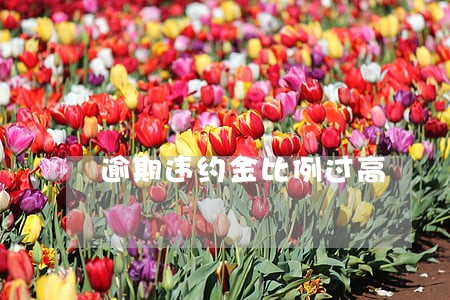 逾期违约金比例过高 逾期违约金比例过高