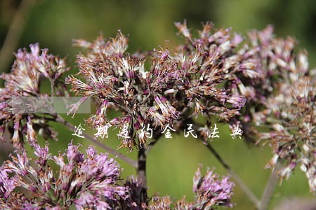 逾期违约金民法典 逾期违约金民法典