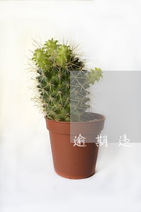 逾期违约金法律规定比例 逾期违约金法律规定比例