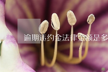 逾期违约金法律金额是多少 逾期违约金法律金额是多少
