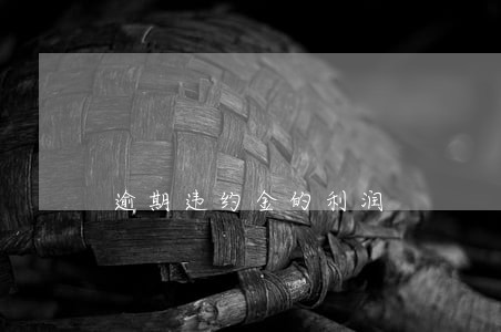 逾期违约金的利润 逾期违约金的利润