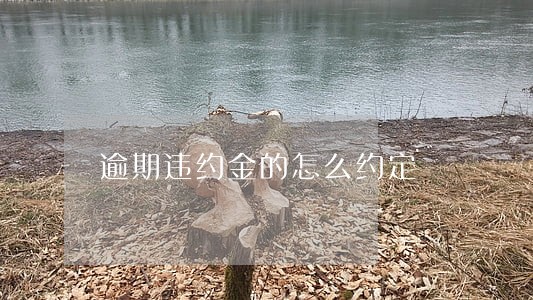 逾期违约金的怎么约定 逾期违约金的怎么约定