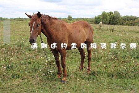 逾期违约金的按贷款总额