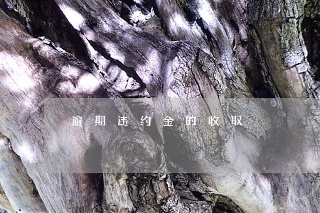 逾期违约金的收取 逾期违约金的收取