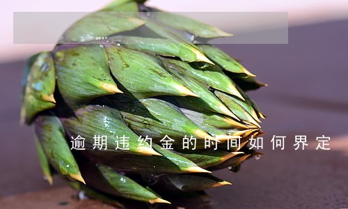 逾期违约金的时间如何界定 逾期违约金的时间如何界定