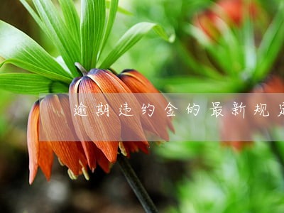 逾期违约金的最新规定 逾期违约金的最新规定