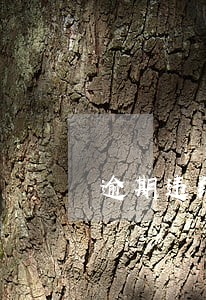 逾期违约金的概念是什么 逾期违约金的概念是什么