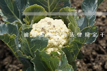 逾期违约金的法律规定千分之二 逾期违约金的法律规定千分之二