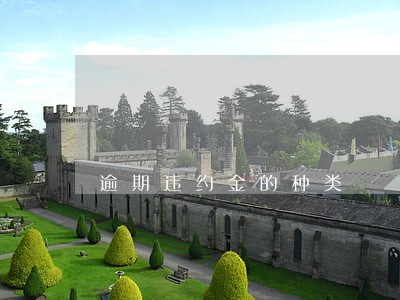 逾期违约金的种类 逾期违约金的种类