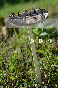 逾期违约金确认书
