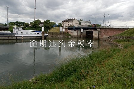 逾期违约金税率 逾期违约金税率