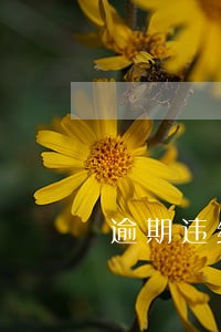 逾期违约金等同于逾期利息吗 逾期违约金等同于逾期利息吗