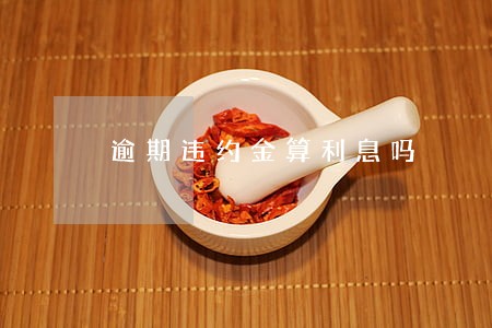 逾期违约金算利息吗 逾期违约金算利息吗