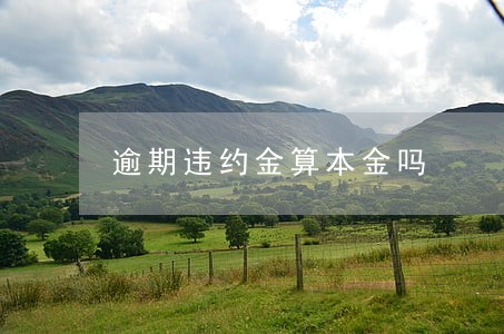 逾期违约金算本金吗 逾期违约金算本金吗