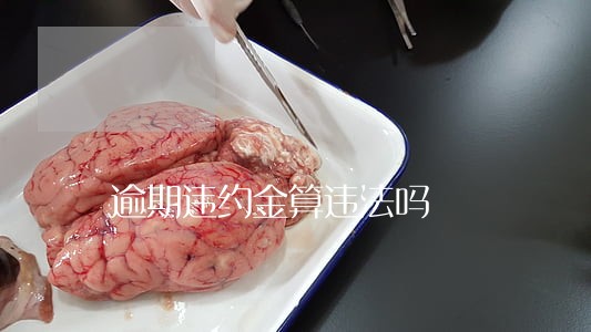 逾期违约金算违法吗 逾期违约金算违法吗