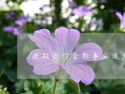 逾期违约金能事后追索吗 逾期违约金能事后追索吗