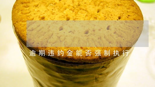 逾期违约金能否强制执行