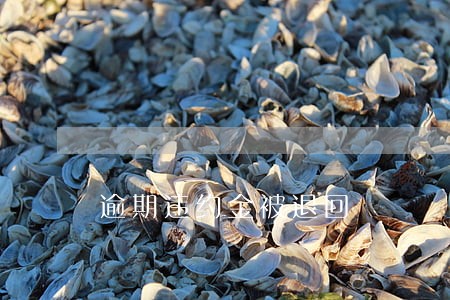 逾期违约金被退回 逾期违约金被退回