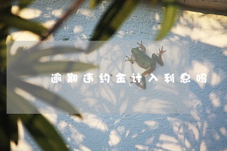 逾期违约金计入利息吗 逾期违约金计入利息吗
