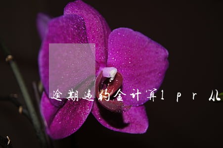 逾期违约金计算lpr从何时开始 逾期违约金计算lpr从何时开始