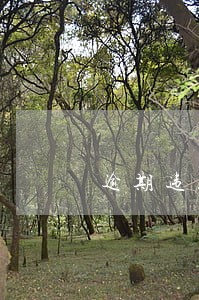 逾期违约金计算复利