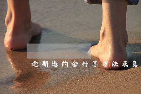 逾期违约金计算方法及复利计算 逾期违约金计算方法及复利计算