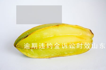逾期违约金诉讼时效山东