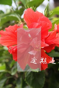 逾期违约金该如何计算 逾期违约金该如何计算