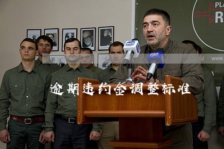 逾期违约金调整标准