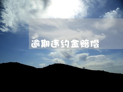 逾期违约金赔偿 逾期违约金赔偿