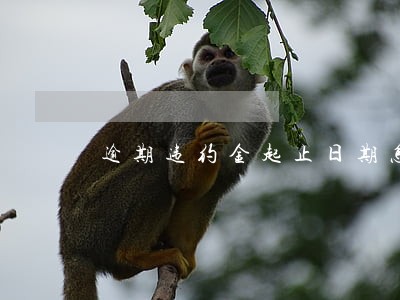 逾期违约金起止日期怎么计算 逾期违约金起止日期怎么计算