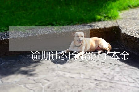 逾期违约金超过了本金 逾期违约金超过了本金